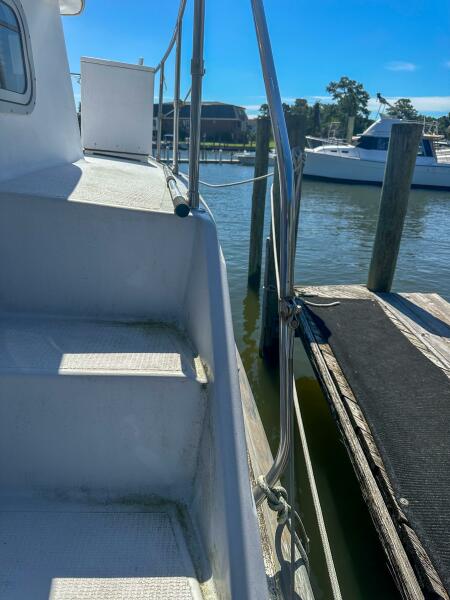 1981 Schucker 50