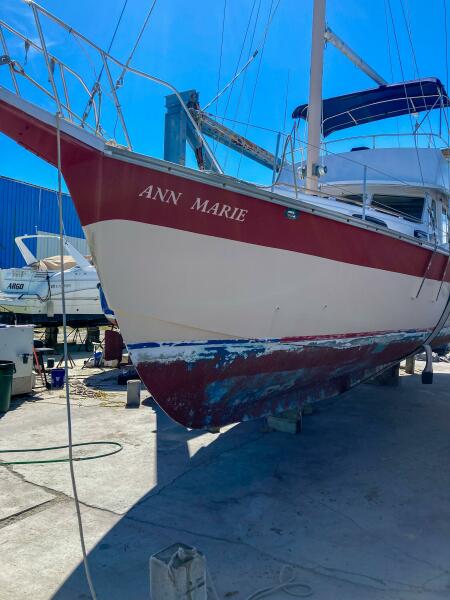 1981 Schucker 50