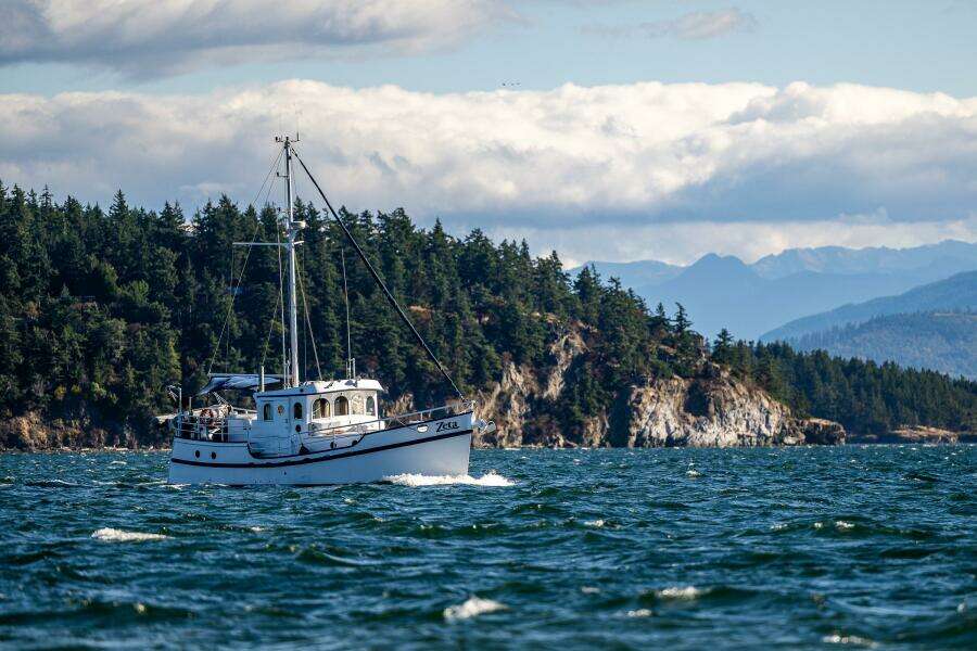 ZETA 46ft Diesel Duck Yacht For Sale ZETA 46ft Diesel Duck Yacht For Sale