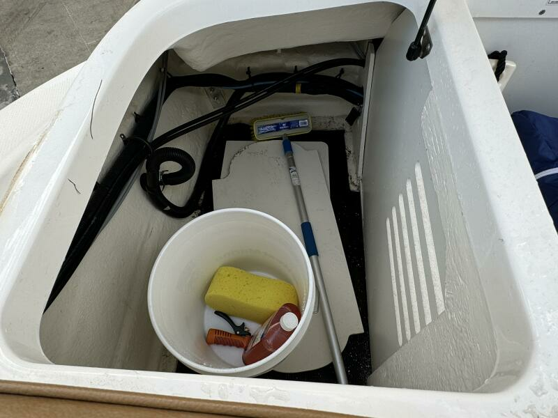 2017 Sea Ray 210 SPX Outboard