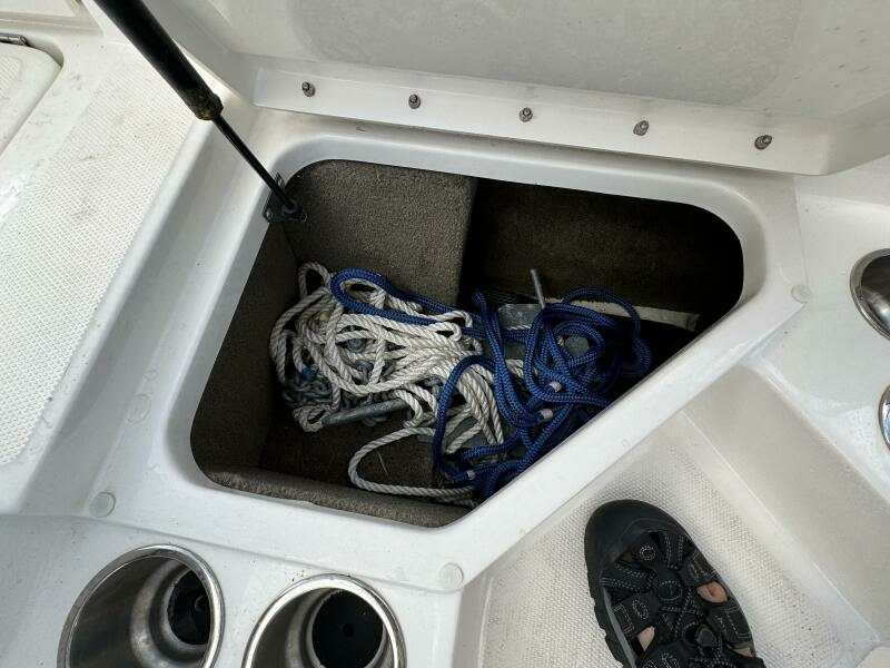 2017 Sea Ray 210 SPX Outboard