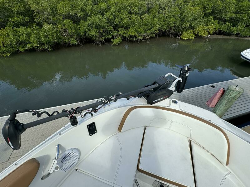 2017 Sea Ray 210 SPX Outboard