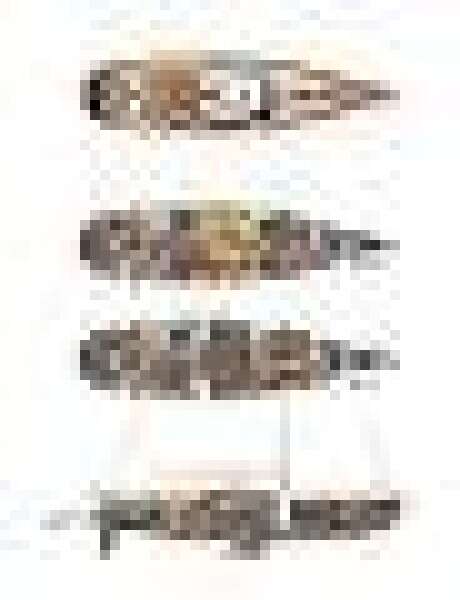 ASSAI 82ft Alia Yachts Yacht For Sale