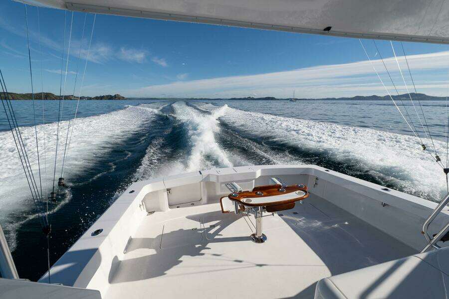 Alive and Kicking 55ft Viking Yacht For Sale