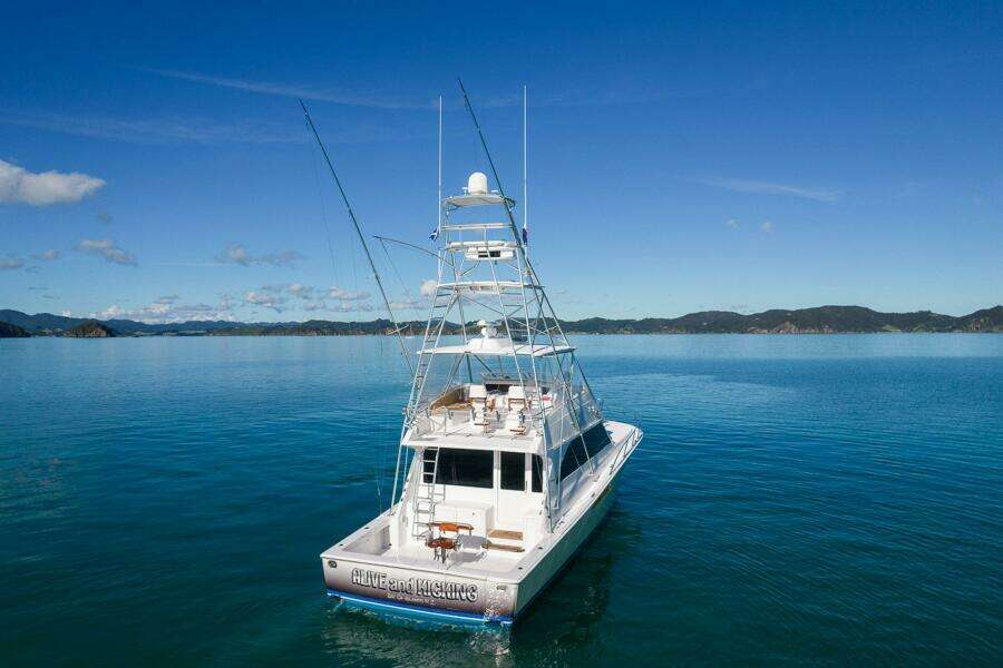 Alive and Kicking 55ft Viking Yacht For Sale