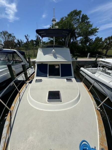 Gypsy bow 2