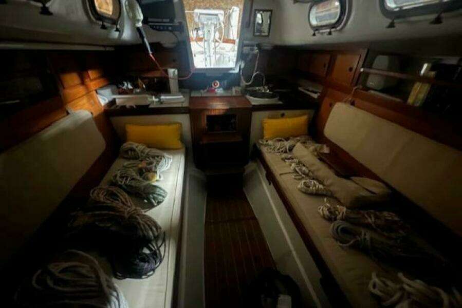 LOTUS 31ft Tripp Yacht For Sale
