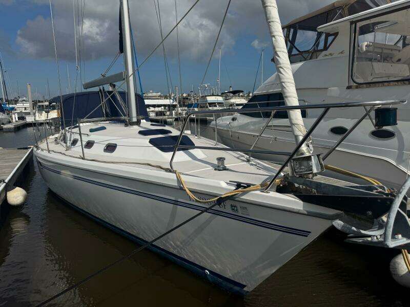 Artemis 42ft Catalina Yacht For Sale
