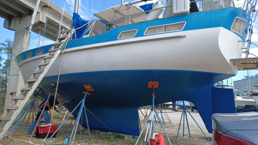 1986 Wauquiez Amphitrite