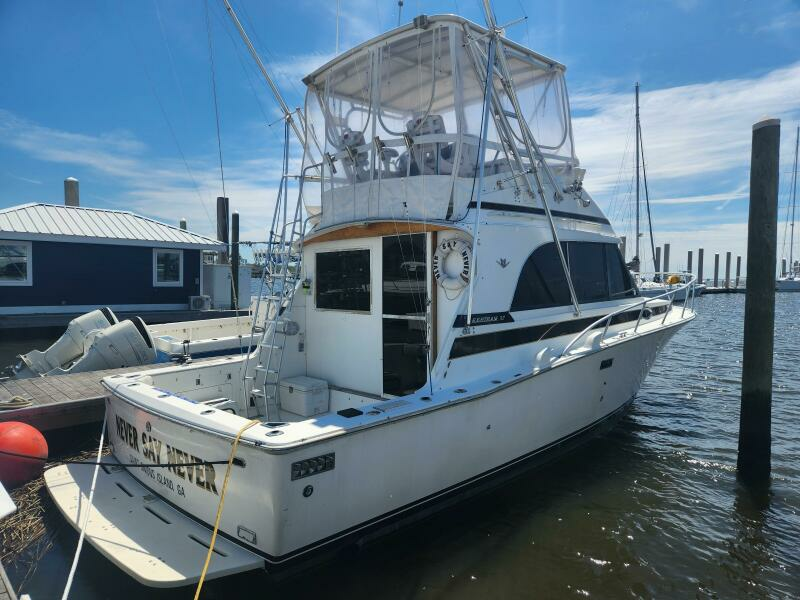 Never Say Never 33ft Bertram Yacht For Sale
