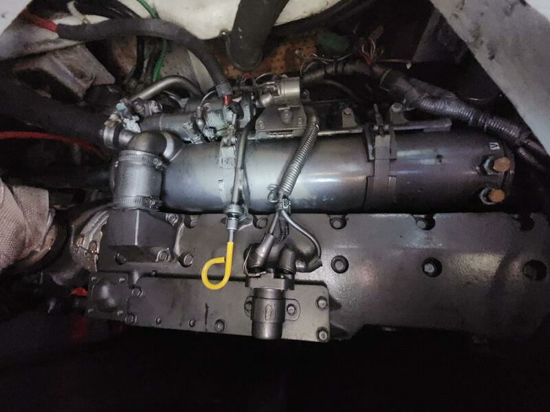 Never Say Never 33ft Bertram Yacht For Sale