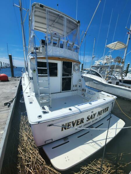 Never Say Never 33ft Bertram Yacht For Sale