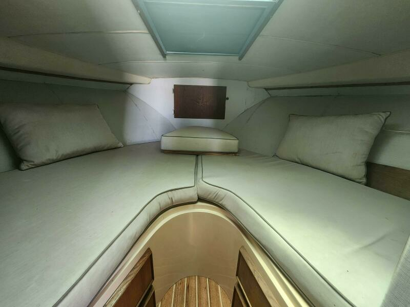 Never Say Never 33ft Bertram Yacht For Sale