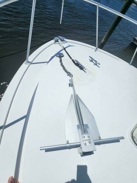 Never Say Never 33ft Bertram Yacht For Sale