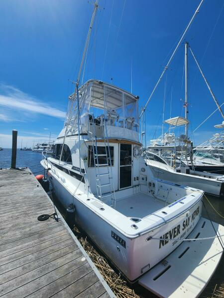 Never Say Never 33ft Bertram Yacht For Sale