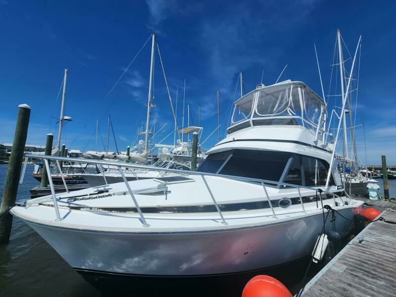 Never Say Never 33ft Bertram Yacht For Sale