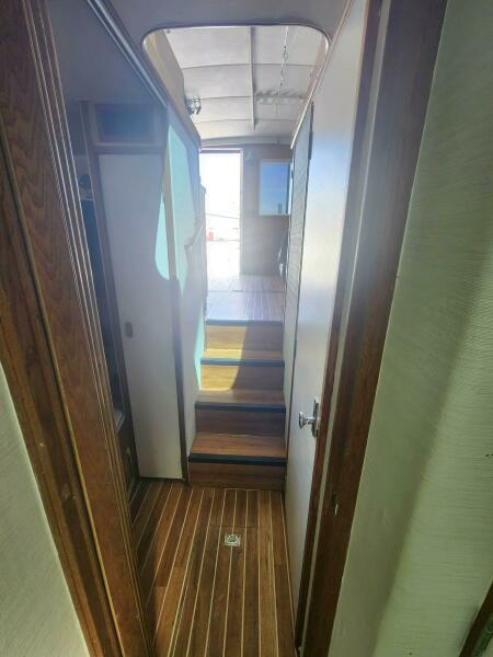 Never Say Never 33ft Bertram Yacht For Sale