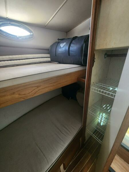 Never Say Never 33ft Bertram Yacht For Sale