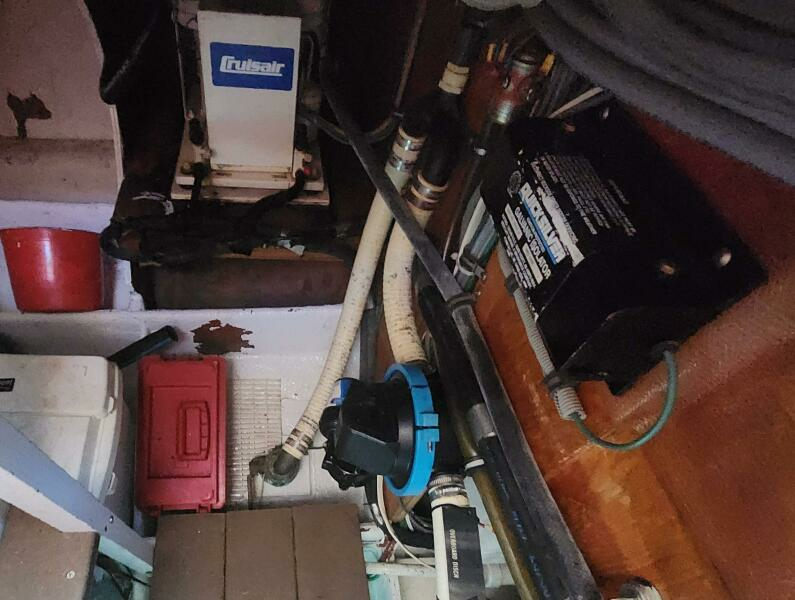 Never Say Never 33ft Bertram Yacht For Sale