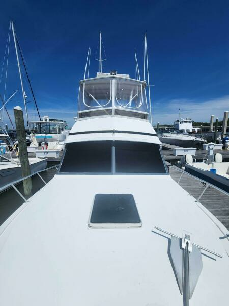 Never Say Never 33ft Bertram Yacht For Sale