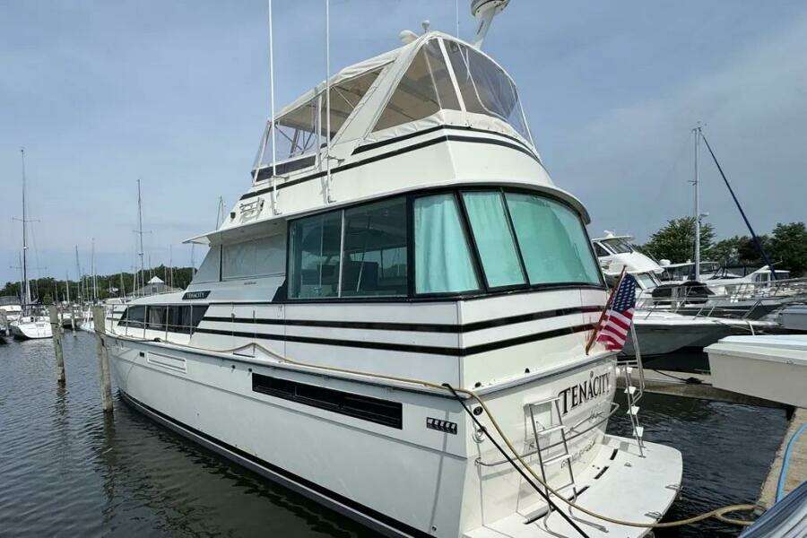 TENACITY 58ft Bertram Yacht For Sale