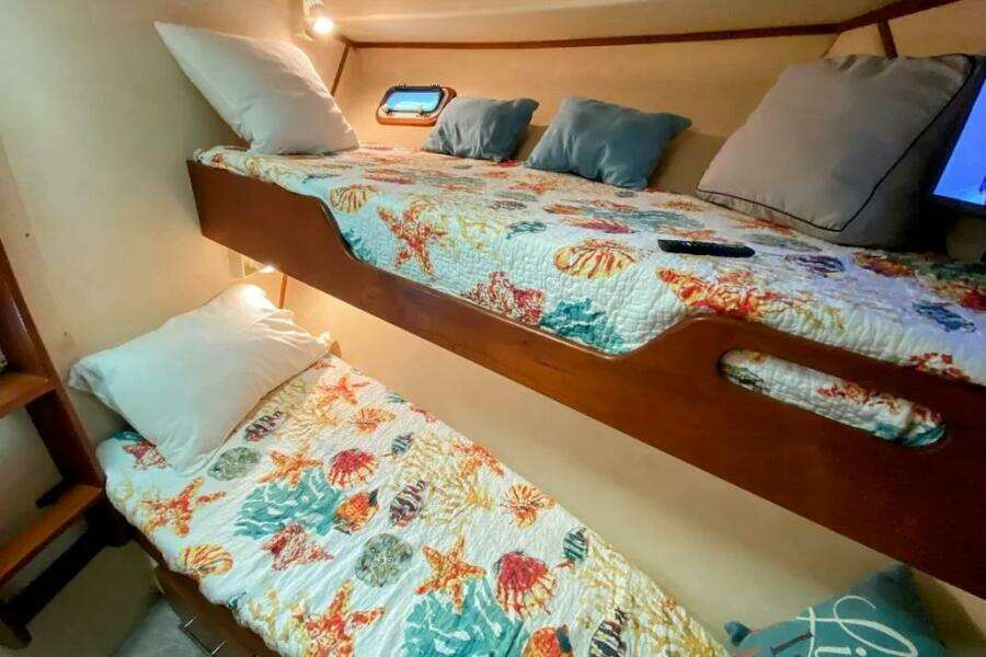 TENACITY 58ft Bertram Yacht For Sale