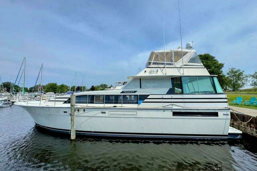 TENACITY 58ft Bertram Yacht For Sale