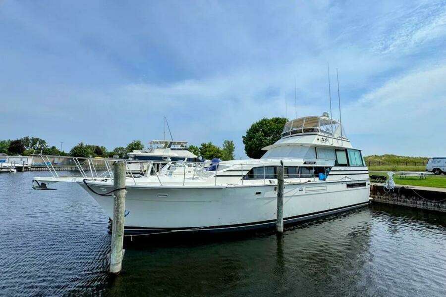 TENACITY 58ft Bertram Yacht For Sale