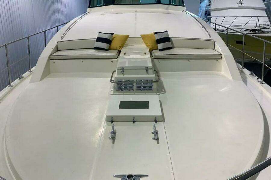 TENACITY 58ft Bertram Yacht For Sale