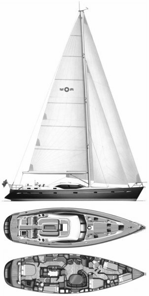 Oyster_62_drawing
