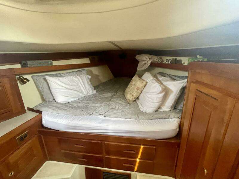 41ft Tartan Yacht For Sale