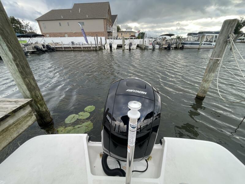2024 Sea Ray SPX 230 Bowrider
