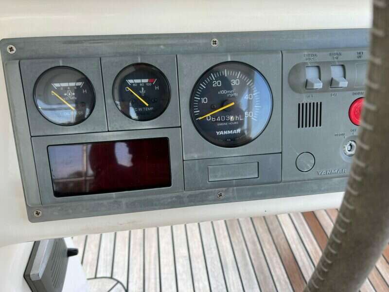 9009858_20230921061033335_1_XLARGE.jpg
