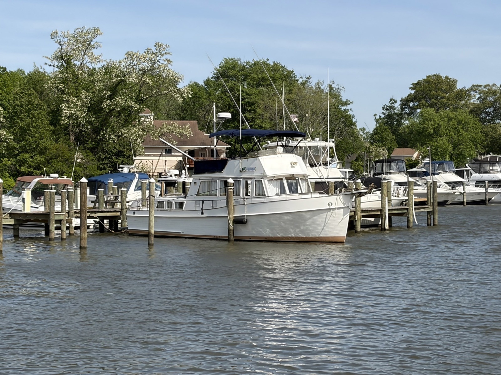 1986 Grand Banks Classic
