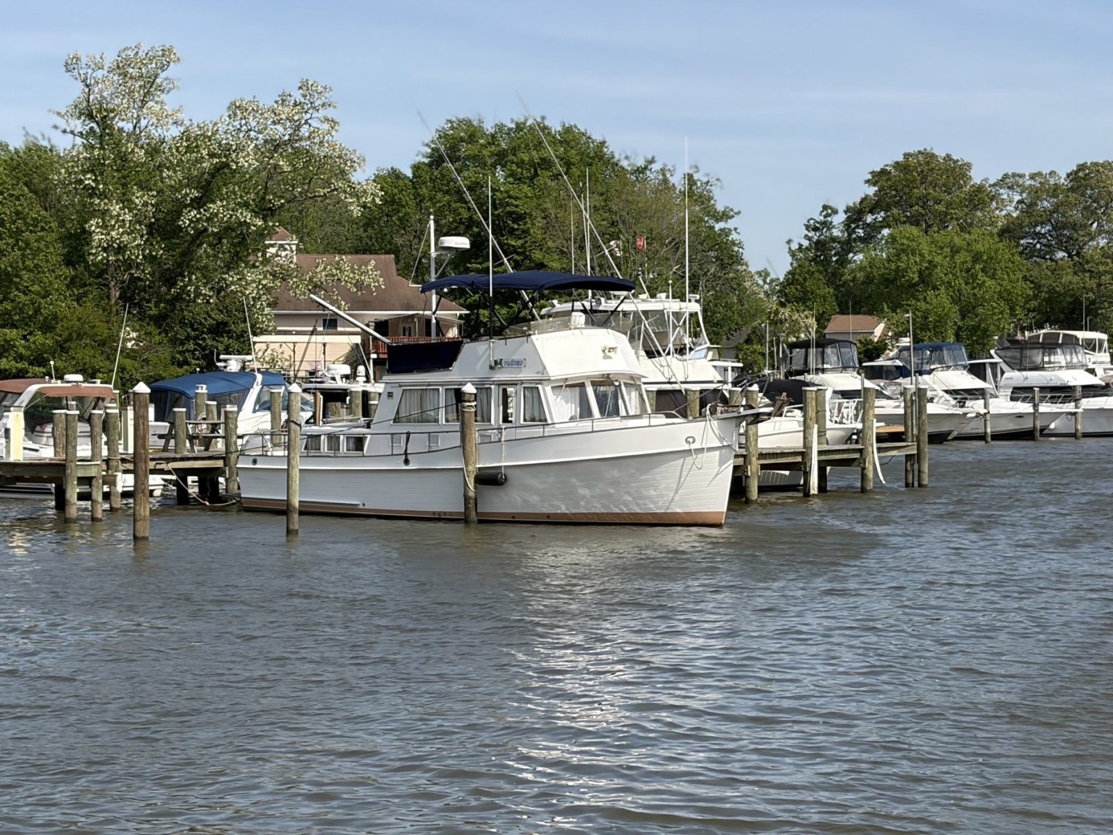 1986 Grand Banks Classic