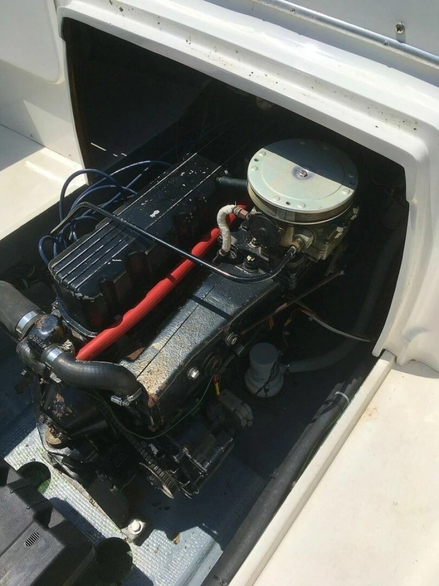 1969 Bertram 20 Bahia Mar