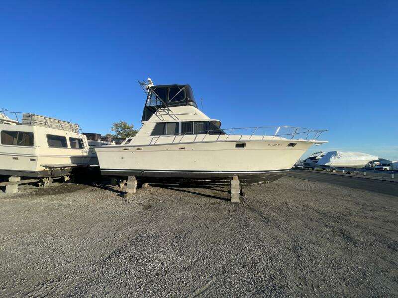 NO NAME 37ft Silverton Yacht For Sale