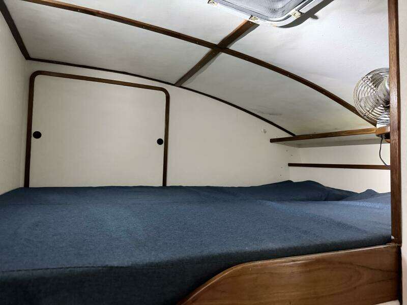 35ft Wildcat Yacht For Sale