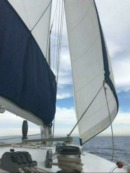 35ft Wildcat Yacht For Sale