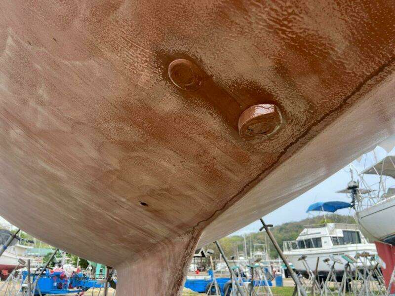 New CopperCoat AF 2025