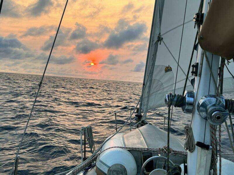 Mast Cruising 4