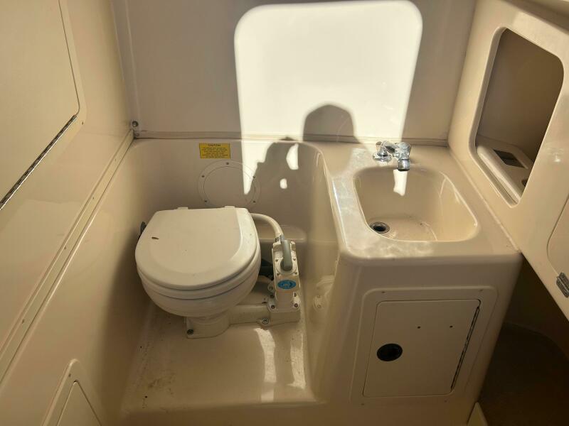 1999 Grady-White 306 Bimini