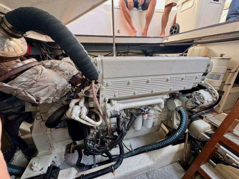 NECESSITY 45ft Albin Yacht For Sale