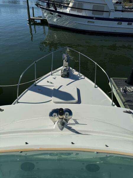 31ft Bertram Yacht For Sale
