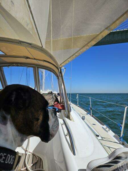 Athena 49ft Beneteau Yacht For Sale