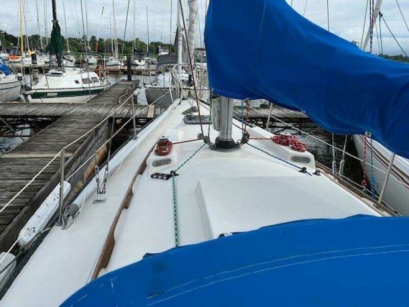 30ft C amp C Yacht For Sale