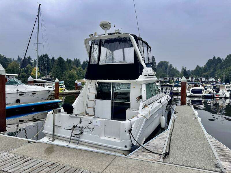 37ft Sea Ray Yacht For Sale