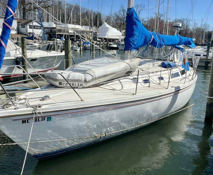 Take Five 36ft Catalina Yacht For Sale