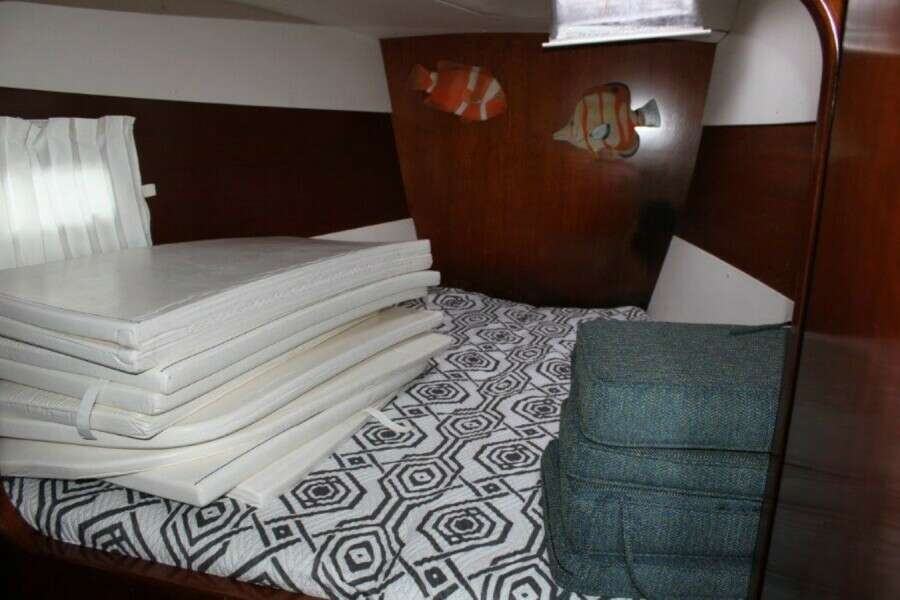 Used Power Catamaran for sale