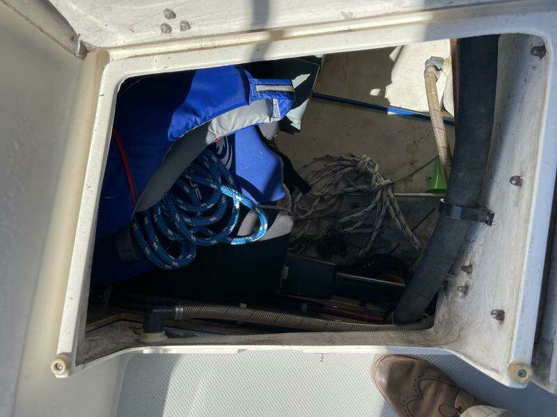 Catalina 42